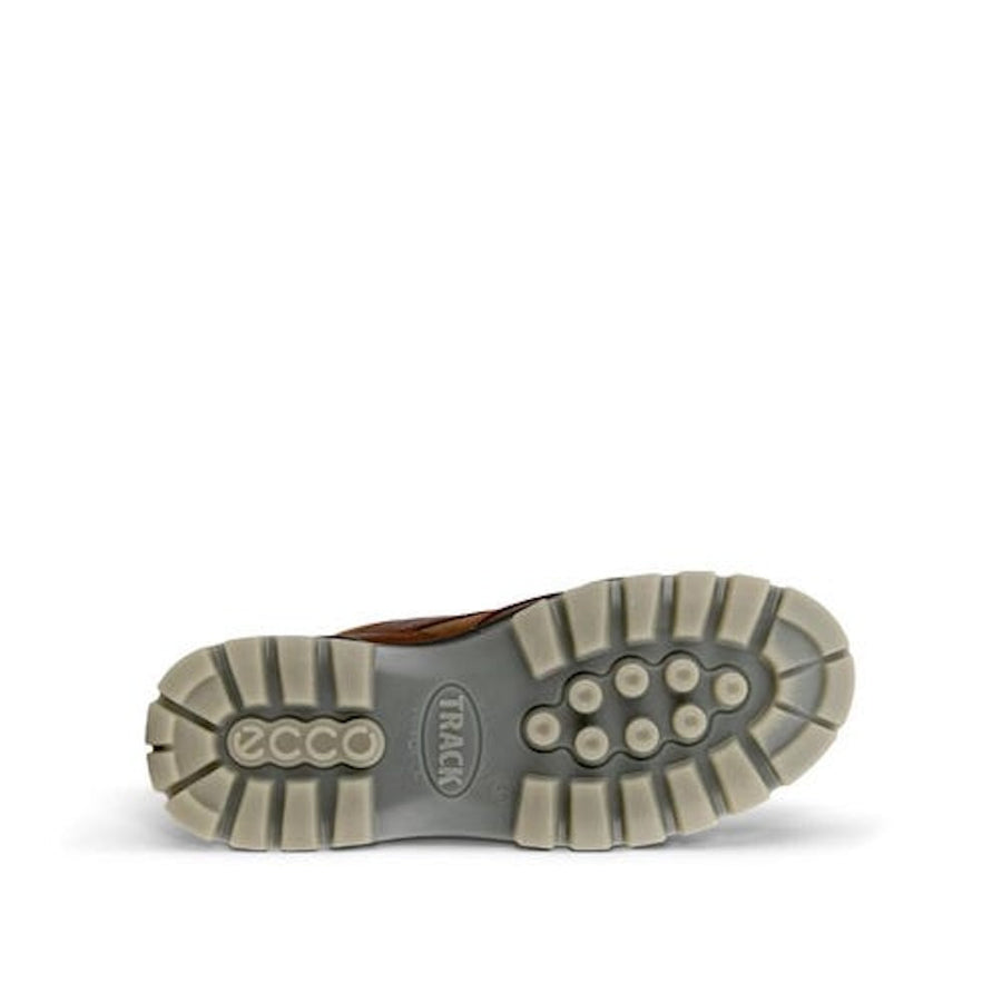 ECCO Track25 Lowcut Waterproof Shoes 83171452600
