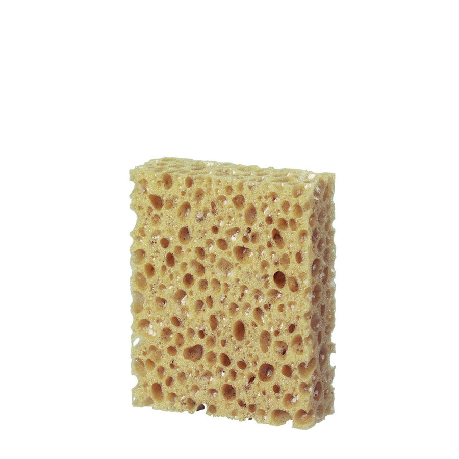 Shoestring Cleaning Sponge