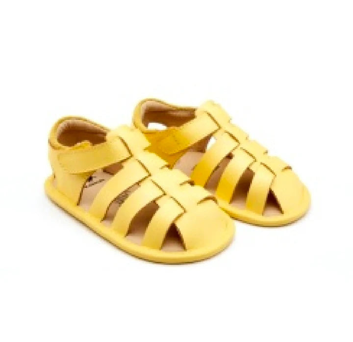Old Soles Splash Away Lemon